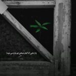 دانلود آهنگ چاقال آخی نینیه بیلرکی جانوارا از تم می دانلود آهنگ چاقال آخی نینیه بیلرکی جانوارا از تم می